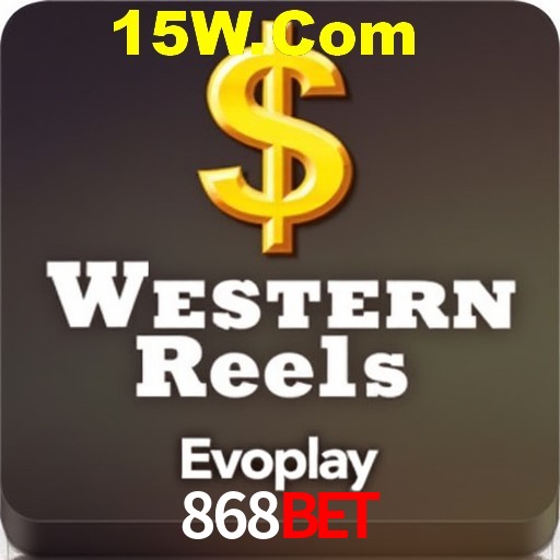 Security Systems 868Bet